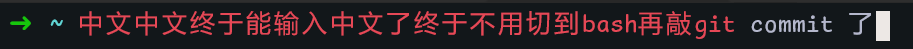 中文演示